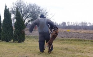 policjant szkoli psa służbowego w terenie