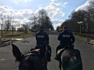 policjanci na koniach służbowych patrolują ulice i parki miasta Częstochowy