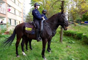 policjanci na koniach służbowych stoją pod blokiem na osiedlu