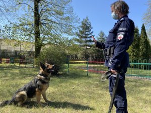 przewodnik z psem służbowym podczas pokazu posłuszeństwa