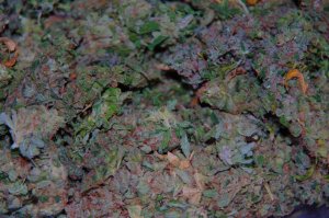 marihuana