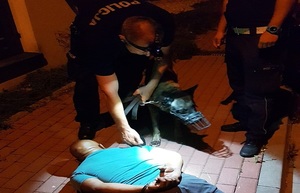 zatrzymany mężczyzna leży na ziemi z kajdankami założonymi na ręce trzymane z tyłu, nad nim stoi policjant z ruchu drogowego i przewodnik z psem służbowym