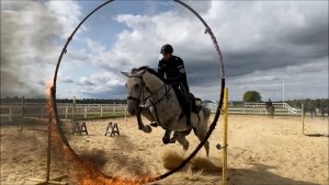 policjant na koniu służbowym przeskakuje przez palącą się obręcz