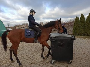 policjantka na koniu służbowym podczas próby przesuwania przeszkody