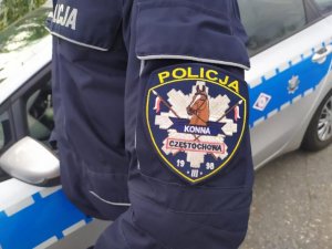 zbliżenie na naszywkę naramienną z napisem policja konna