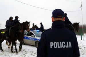 kierownik ogniwa konnego tyłem do fotografującego patrzy w kierunku policyjnych wierzchowców, które chodzą dookoła radiowozu