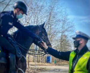 policjanci w kamizelkach odblaskowych i białych czapkach ;legitymują policjantów siedzących na koniach służbowych