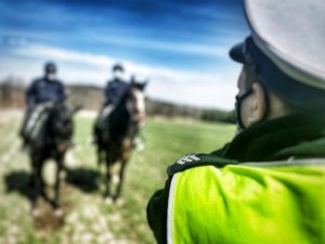 na pierwszym planie policjant z drogówki w białej czapce tyłem do fotografującego w tle policjanci na koniach