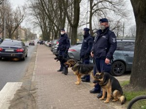 trzech policjantów na chodniku obok policyjne psy