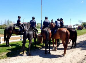 policjanci na koniach stoją ustawieni po okręgu
