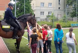 dzieci głaszczące konie służbowe podczas spotkania