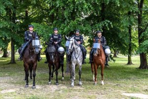 policjanci na koniach stoją obok siebie i pozują do zdjęcia