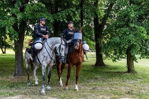dwoje policjantów na koniach pozuje do zdjęcia, w tle widać drzewa