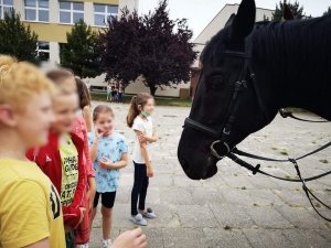 uczniowie na zewnątrz szkoły stoją blisko konia służbowego - koń zbliża do dzieci swój łeb, dzieci się uśmiechają