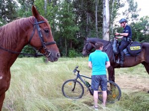 policjant na koniu służbowym legitymuje rowerzystę