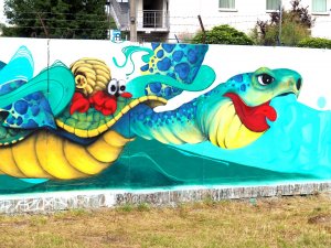 zbliżenie na graffiti - namalowany żółw morski