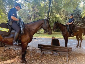 policjanci na koniach legitymują mężczyznę, który siedzi na ławce w parku
