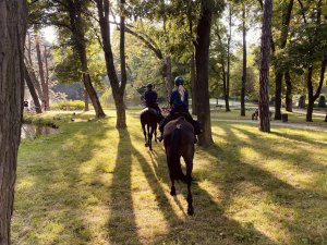 policjanci na koniach patrolują park pod Jasną Górą
