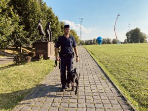 policjant z psem służbowym patroluje rejon podjasnogórski