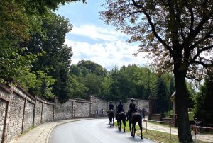 konie służbowe jadą po jezdni przy Klasztorze jasnogórskim