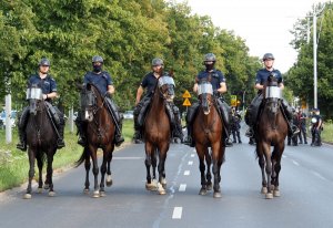 policjanci na koniach podczas zabezpieczenia