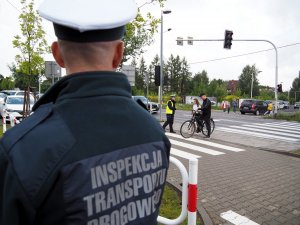 funkcjonariusz Inspekcji Transportu Drogowego stoi tyłem do fotografującego, w tle widać przejście dla pieszych i policjantkę