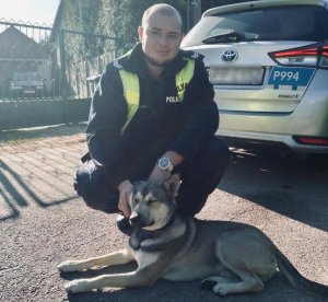 policjant kuca i głaszcze leżącego psa