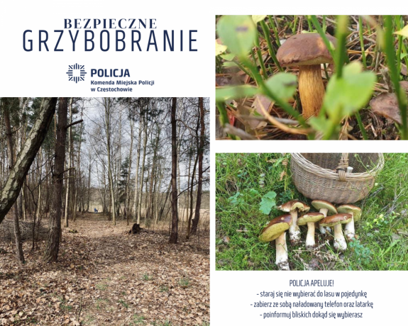 plakat informujący o zasadach bezpieczeństwa na grzybobraniu - zdjęcie ścieżki w lesie i grzybów oraz napis Bezpieczne grzybobranie