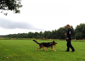 pies biegnie do swojego policyjnego opiekuna
