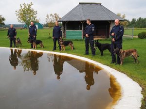 policjanci z psami służbowymi pozują do zdjęcia