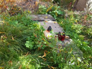 zaniedbane groby Polaków na cmentarzu w Kisielinie porośnięte roślinnością z widocznymi ubytkami w betonowych mogiłach
