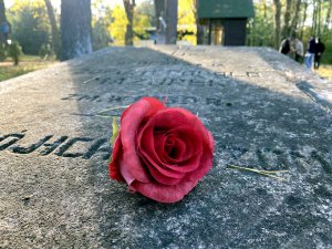 zbliżenie na sztuczny kwiat róży, który leży na płycie nagrobkowej na cmentarzu