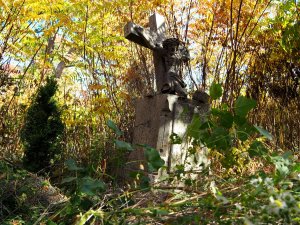 mogiła na cmentarzu w Kisielinie porośnięta krzewami