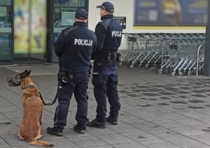 dwóch policjantów z psem służbowym stoi przed wejściem do sklepu