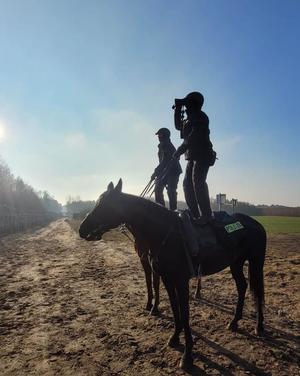 policjanci na koniach podczas patrolowania terenu przygranicznego