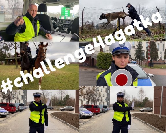 kolaż zdjęć - 6 zdjęć przedstawiających policjantów na koniach, z ruchu drogowego i przewodnika z psem słuzbowym