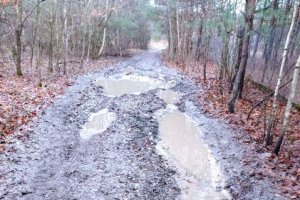 błotnista droga leśna, po bokach drzewa