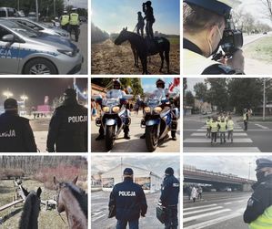 kolaż 9 zdjęć, przedstawiających policjantów na służbie - na policyjnych koniach, z psami służbowymi, z ręcznym miernikiem prędkości, policjanta stojącego przy przejściu dla pieszych, policjantkę przeprowadzającą dzieci przez jezdnię