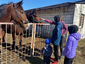 kobieta z dziećmi zwiedza stadninę, głaszcze konie, które podeszły do ogrodzenia