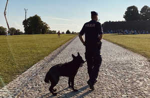 policjant idzie tyłem do fotografującego, trzyma na smyczy czarnego psa służbowego