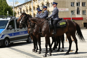 policjanci na koniach służbowych podczas uroczystości