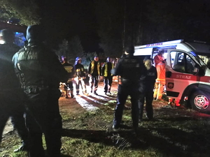 policjanci i strażacy podczas akcji poszukiwawczej stoją na terenie leśnym