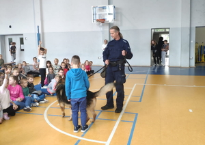 przewodnik psa służbowego ze swoim owczarkiem na środku sali gimnastycznej przeprowadza pokaz, uczniowie siedzą i się przyglądają