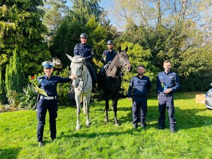 policjanci i konie służbowe na zdjęciu grupowym