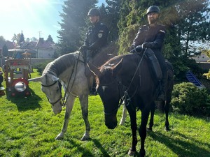 policjanci na koniach służbowych podczas wizyty w przedszkolu