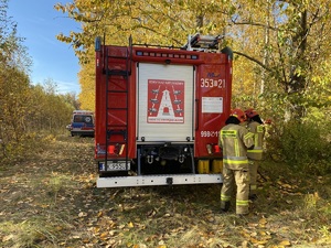 wóz strażacki i strażacy na terenie zalesionym
