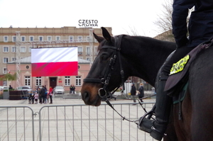 policyjne konie służbowe podczas marszu i obchodów uroczystości