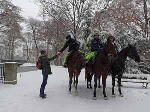 trzech policyjnych jeźdźców na koniach, w parku jeden z nich przekazuje apteczkę przechodniowi