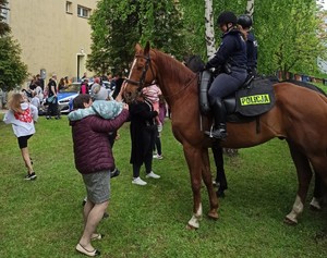 Policyjni jeźdźcy na koniach, wokoło dorośli z dziećmi przyglądają się zwierzętom