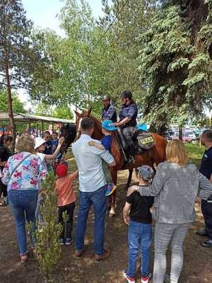 Dzieci i dorośli stoją wokół koni